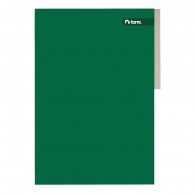 CARPETA CARTULINA PIGMENTADA OFICIO VERDE