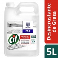 DESINCRUSTANTE DE GRASA 5 LT
