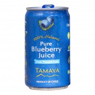 JUGO BLUEBERRY LATA 200 ML