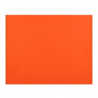 CARTULINA NARANJA 55X75 CM