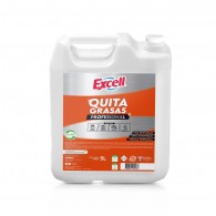 LIMPIADOR ANTIGRASA ESPECIAL BIDON 5 LT