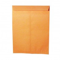 SOBRE SACO EXTRA OFICIO GOLDEN 100GR 25 UNIDADES DIMERC