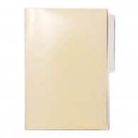 CARPETA CARTULINA PIGMENTADA BEIGE BRILLANTE DIMERC