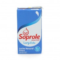 LECHE CAJA ENTERA LARGA VIDA 1 LT