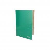 CARPETA PLASTIFICADA VERDE AUCA