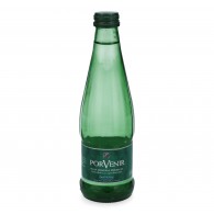 AGUA MINERAL CON GAS ENVASE VIDRIO 300CC PORVENIR