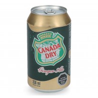 BEBIDA LATA 350CC GINGER ALE
