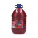 JUGO FRUTILLA CONCENTRADO 5 LITRO TRAVERSO