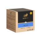 TE PIRAMIDE EARL GREY 12 X 24 GR
