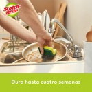 ESPONJA ACANALADA X 3