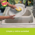 ESPONJA ACANALADA X 3
