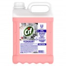 DESENGRASANTE LIQUIDO BIDON 5 LT