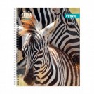 CUADERNO UNIVERSITARIO MATEMATICA 7 MM 100 HOJAS CLASICO FAUNA