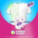 LIMPIADOR PACK EN POLVO 450 G X 2 UN
