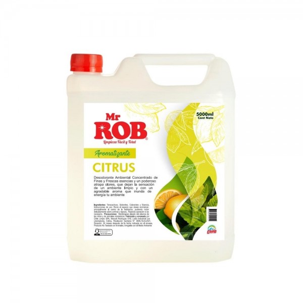 AROMATIZANTE CITRUS BIDON 5 LT
